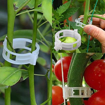 Obrázek z Klipy/pásky pro uchycení rostlin 50 ks