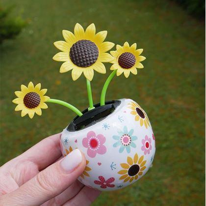 Obrázek z Solární květina - slunečnice