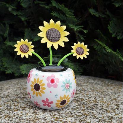 Obrázek Solární květina