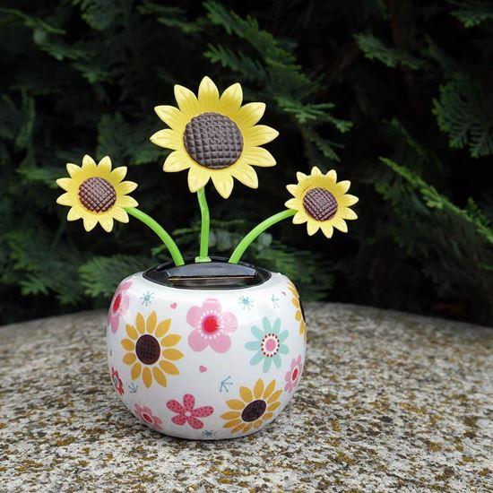 Obrázek z Solární květina - slunečnice