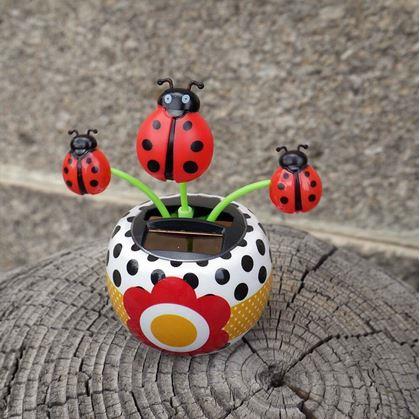 Obrázek z Solární květina - beruška