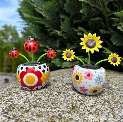 Obrázek z Solární květina - slunečnice