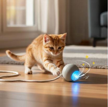 Obrázek Nabíjecí pohyblivý míček pro zvířata