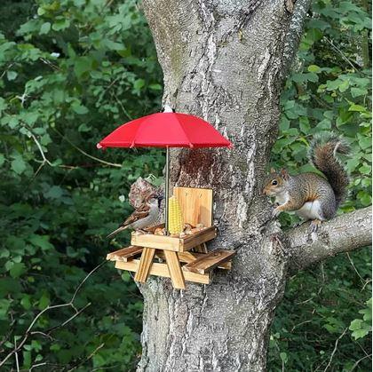 Obrázek z Dřevěné krmítko