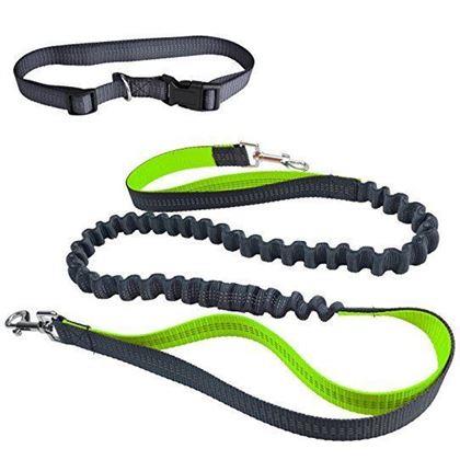 Obrázek z Multifunkční běžecké vodítko