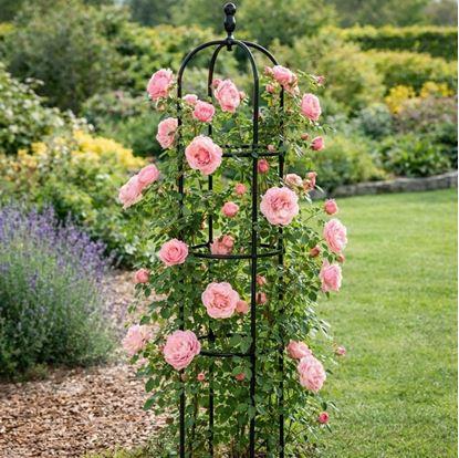 Obrázek Opora pro popínavé rostliny 140 cm