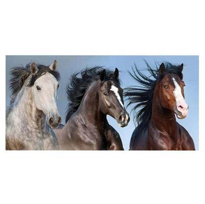 Obrázek Bavlněná osuška divocí koně 70x140 cm