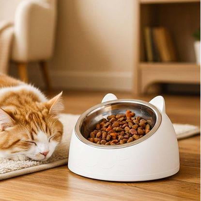 Obrázek Miska pro kočky 2v1