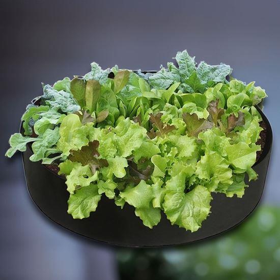 Obrázek z Textilní záhon 50 l, 60 x 20 cm