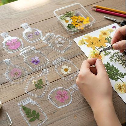Obrázek DIY herbář - samolepky na sušené květiny 
