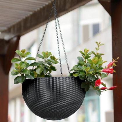 Obrázek z Závěsný květináč - průměr 26 cm