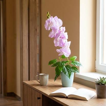Obrázek Umělé květiny orchidej